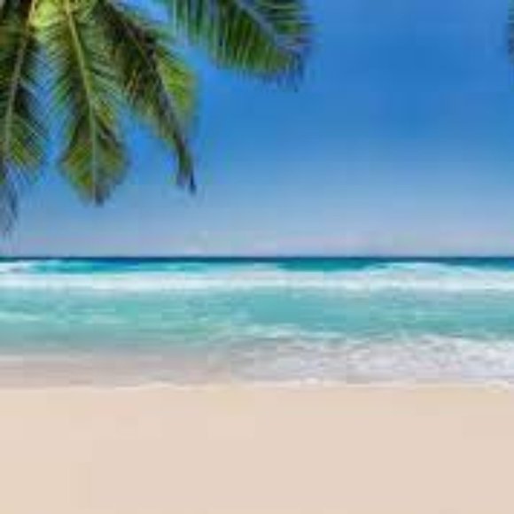 Jessica - Picture 1 of 1